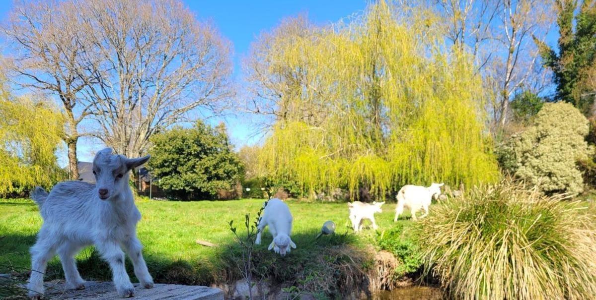 Le Domaine Des Sources Bed & Breakfast Landévant Dış mekan fotoğraf